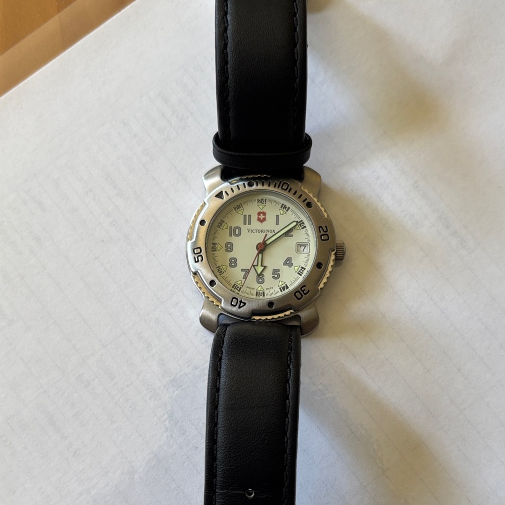 Victorinox Silver Dial Black Strap Watch